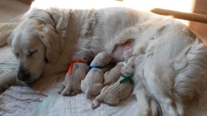 Du Puits Salé - naissance des bébés de Gaïa et Eyban